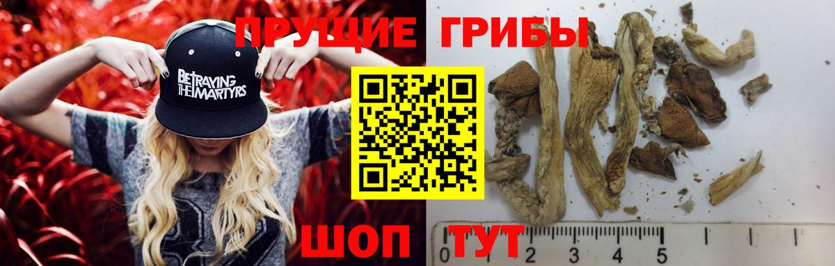 Нарьян-Мар  Псилоцибиновые грибы мухоморы  Вход с VPN 