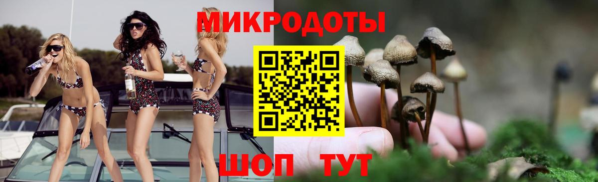 Галлюциногенные грибы Psilocybine cubensis Нарьян-Мар